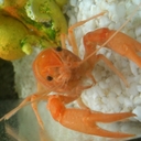 Martin brunner - @Martin_alofan - Twitter