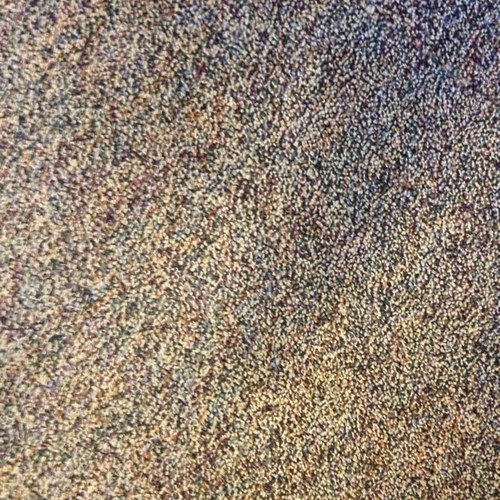 punnyqueen's profile picture. 