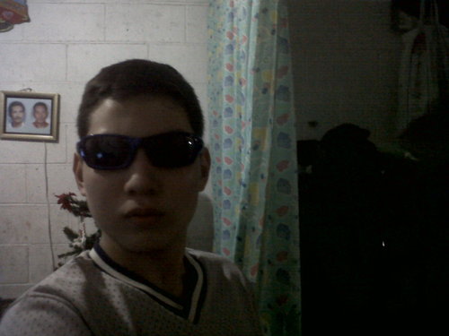 soy amante de los perros, me gustan los juegos de video de dios de la guerra mortal kombat 9 etc.