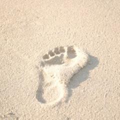 InstaMommy's profile picture. I'm a mommy of 2 outgoing and active kids. When I have downtime you can find me gardening, writing, taking pictures, and cooking.