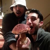 Ramsey (@themoshtube) 's Twitter Profile