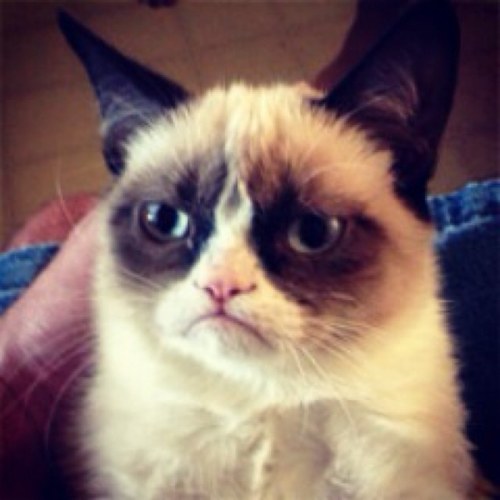 ((Keep getting hacked so don't worry.))