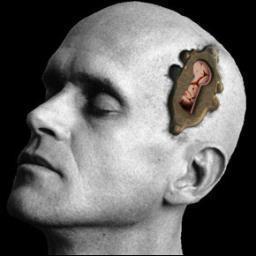 Programación Neurolonguistica en Guadalajara