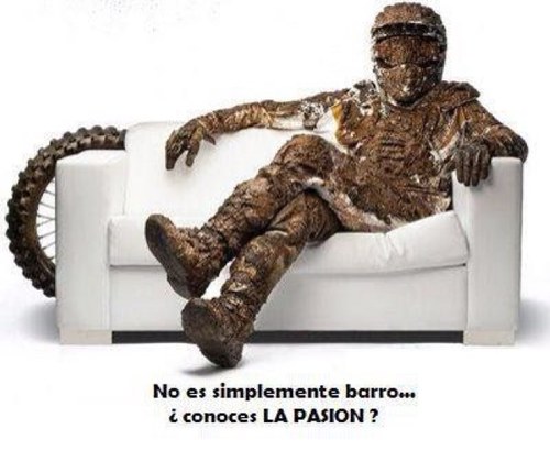 diegoespirodri's profile picture. 