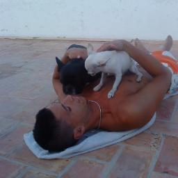 Rey de reyes