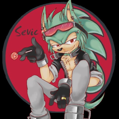 Sup ladies scourge the hedgehog here my true king of mobius bitches That blue faker is nothing to me #taken by @Fiona_TheFox3
I love her
