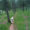 Noemí Garay - @NoemiCanamero - Twitter