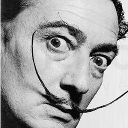 LucGalassi's profile picture. 