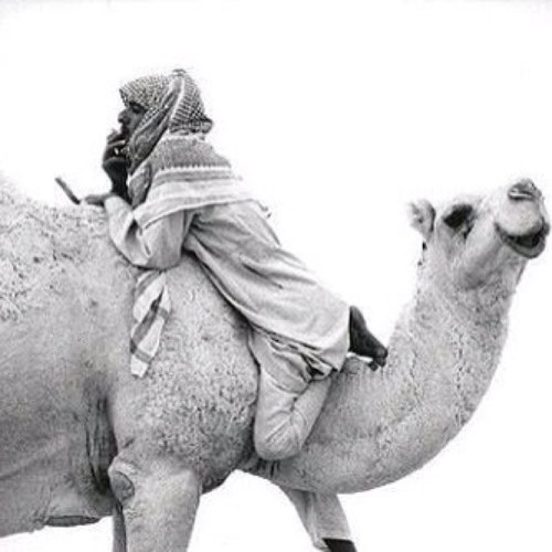 النداوي من السعوديه غيري ينقص وانا ازودي فلو مي فلو باك انفلو انفلو. الخاص للخاص