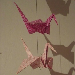 tomakeonewish's profile picture. “This is our cry. This is our prayer. Peace on Earth.”

Send us your cranes:

30 Lincoln Avenue
Plymouth
PL4 7NT
UK