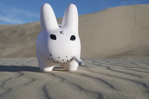 sushieveryday's profile picture. A NY'er stuck in LA looking for a decent Bagel