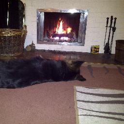 firesidespares's profile picture. Coming soon to a computer near you, a one stop shop for all of your fireside needs.