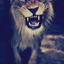 Anna Moldovan - @Anna1105Anna - Twitter