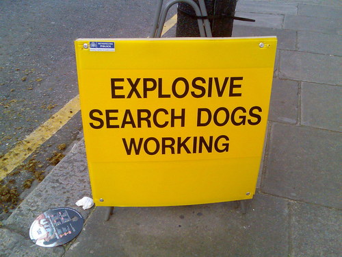 bigherbwilliams's profile picture. prick