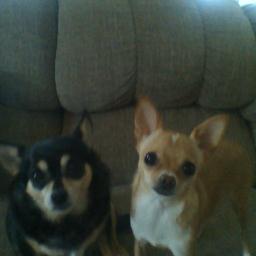 jackiehofmeiste's profile picture. 