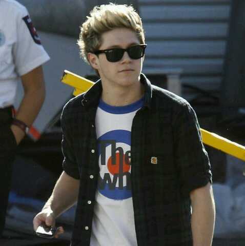 My purpose is to give @NiallOfficial a boner.