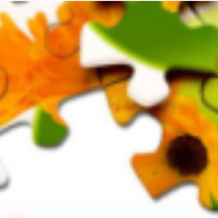 Olga_Ksen1 (@olga_ksen) Twitter profile photo