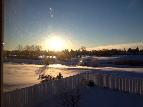 Ceddie65's profile picture. Just hanging out on the prairie.