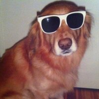 Andrea Marigonda (@ilgiek) Twitter profile photo
