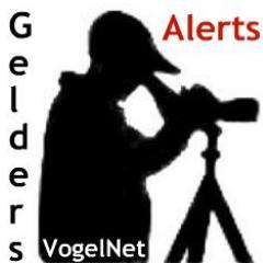 Welkom op het twitterblog van het Gelders VogelNet. Zeer zeldzame soorten melden we via de Alertgroep van Whatsapp. Join us!