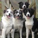 SHARON GRAY - @purdypots - Twitter