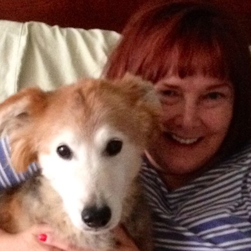 GillMkgill's profile picture. 