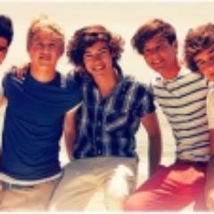 Soy una persona con buen sentido del humor soy muy divertida adoro lo comida y adoro a one direction soy una directioner forever