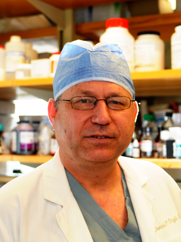 Professor of Surgery, Harvard Medical School