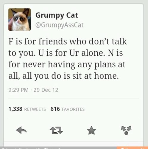 catshouts's profile picture. 