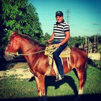 Alejandro Garcia (@alexgarvid) 's Twitter Profile