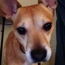 Joshua Betts - @JoshBetts85 - Twitter