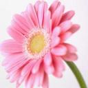 Jenny Mortimer - @JennyMortimer_ - Twitter