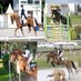 Traisnel Equestrian (@ecuriesdaulnais) Twitter profile photo