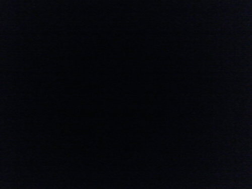 raz00rak00c's profile picture. A man might feel the pain of a slap from a womans hand but he wont feel the pain of getting punched by another man.