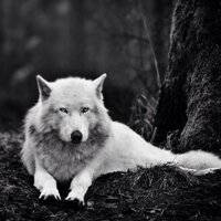 Kyle Moore (@moore2discover) 's Twitter Profile