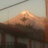 cesar091088's profile image