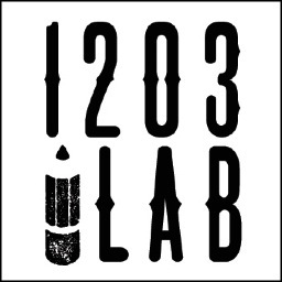 1203LAB's profile picture. Two architects and their first home in Richmond, Virginia.