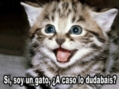 SolooSigueme's profile picture. Esta cuenta te ayuda a subir seguidores! #FollowBackSeguro #Recomiendo