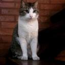 Mick Roger - @MickRoger1 - Twitter