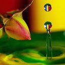 rita Lorenzetti  - @rita_lorenz - Twitter