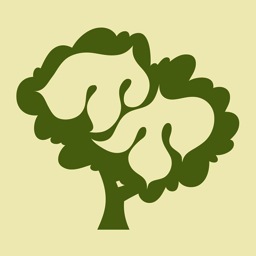 mulberrytree169's profile picture. Quality card, children's gift & toy shop based in Towcester, Northants, UK....shop online at http://t.co/bnyd3HScSF for FREE UK SHIPPING!