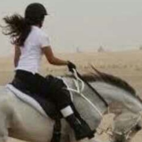 لا ألفينك بعد الموت تندبني    وفي حياتي ما زودتني زاد