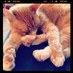 Sean (@silverslipon) Twitter profile photo