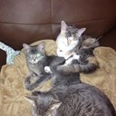 Donna Pease - @FabDonnaLee - Twitter