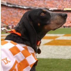 ANNOUNCEMENT: On August 17th, this account is merging with @UTKStudentLife.