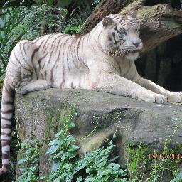 Weng2220's profile picture. 