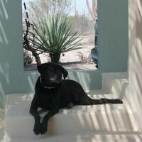 Aggie L (@agski48) 's Twitter Profile Photo