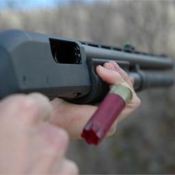 philtingo's profile picture. love you so much Cherie it has been an absolutly amazing 8 mounths of my life thank you for everythink gorgeous xxx love you with all my heart baby xxxxx