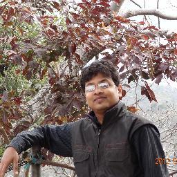 Engineer ,Government servant working with U.P Electricity Board.