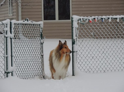 richgels_jayne's profile picture. 